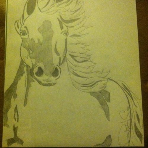 Horsing Around