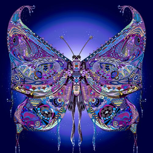 Psychedelic Butterfly