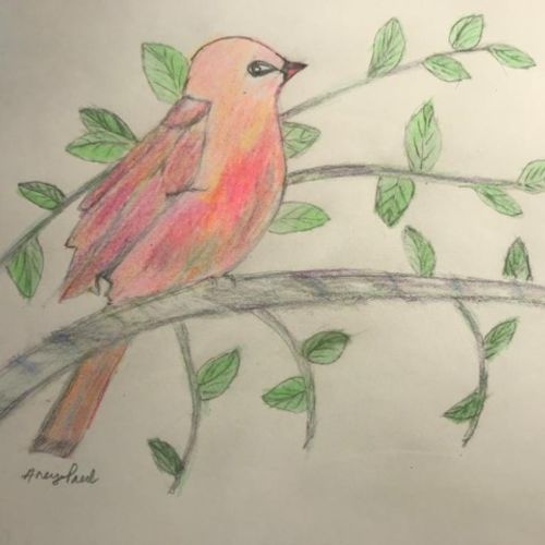 A Bird sitting on a tree