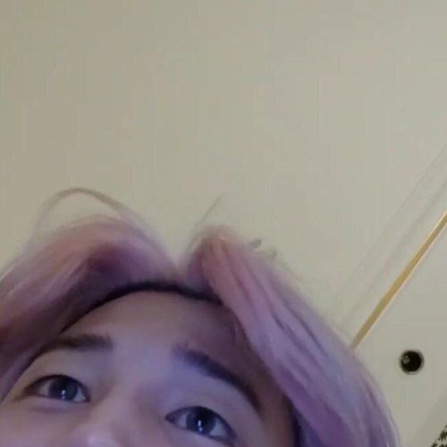 Sara Chickentoes