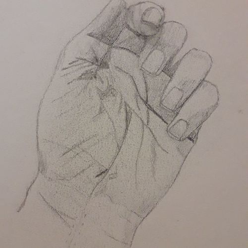 Study of hand