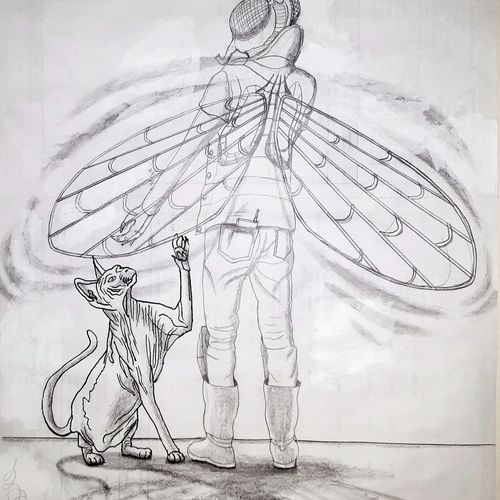 Fly Man