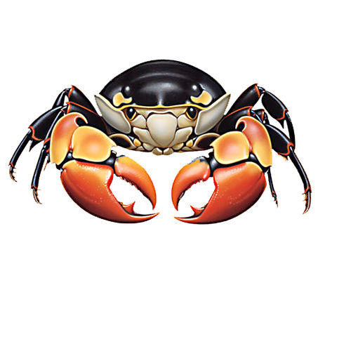 Seasoning Migrations