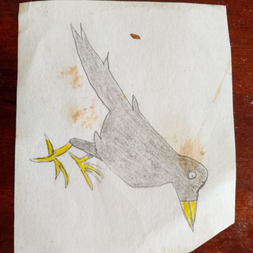 Raven