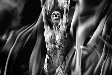 “Angel of Death”