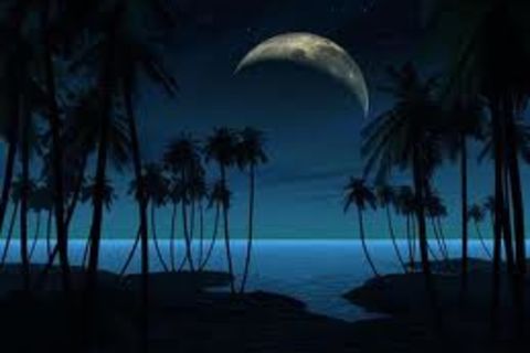 THE NIGHT   
