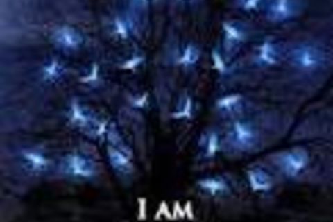the spark inside