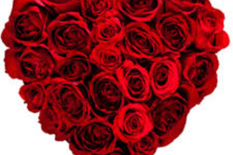 LOVE IS