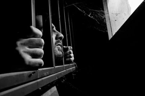 Jailed Insect