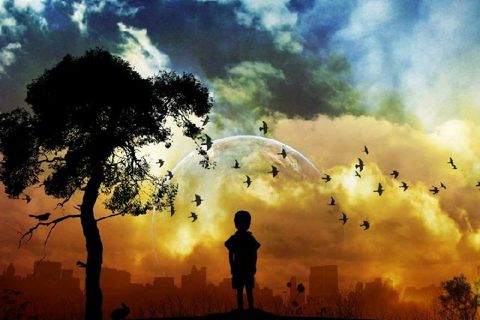 Wild Are The Dreamers