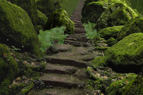 Stairway to heaven