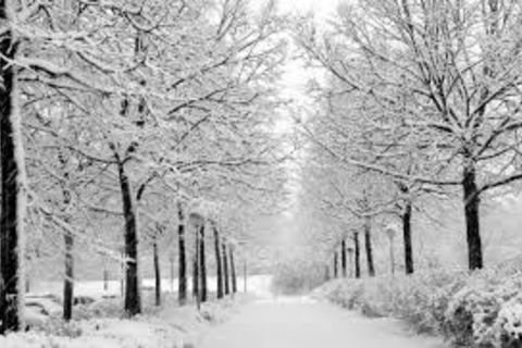 Winter Craze