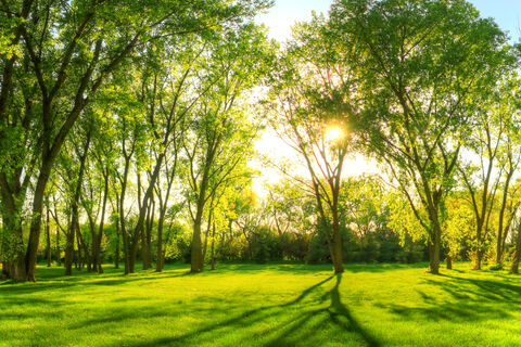 Springtime