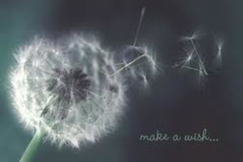 Meaning of life Meaning of life