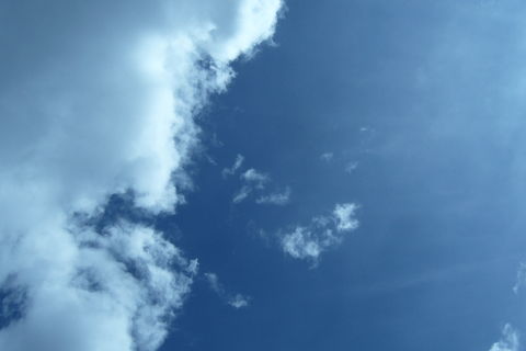 Involuntary Victim &amp; Her Great Act