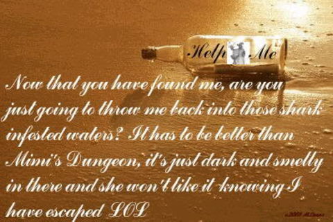 Message in a bottle