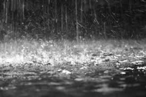 The Rain Falls