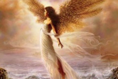 above i rise