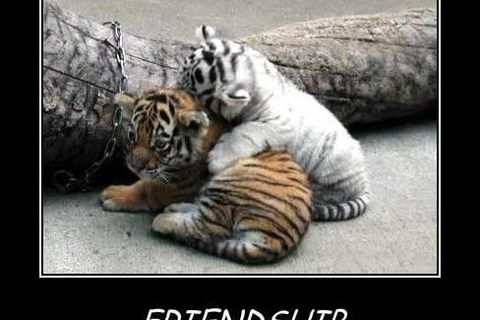 Wish Every world that exist beyond this one, has people such as you all, that truly have taught me and allowed me to learn, the true meaning of friends,(THROUGH AND THROUGH) Wish Every world that exist beyond this one, has people such as you all, that truly have taught me and allowed me to learn, the true meaning of friends,(THROUGH AND THROUGH)