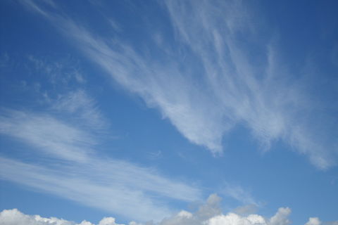 jumping to conclusions.