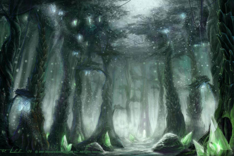 Voices Of The Forest. 