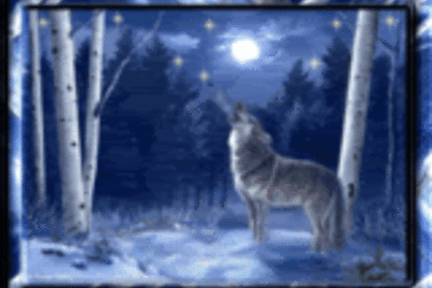 The Shadow of Luna Lures Me