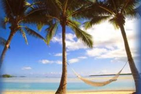 I wanna be where Palm Trees Sway