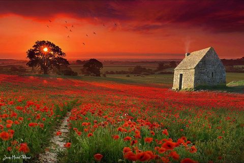 On the road to happiness