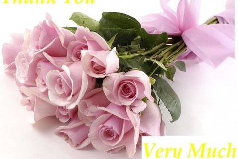 Thank you (If only for a moment)