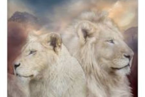Enlightenment Bearers