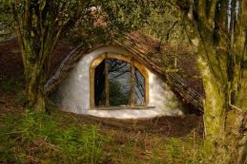 The Enchanted Forest