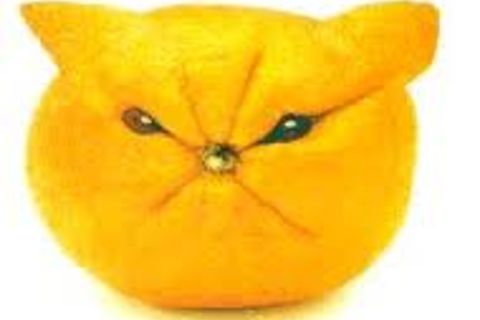 bitter little lemon's