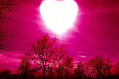 To The Love OF My Life