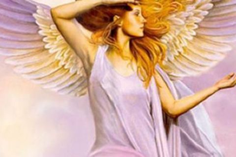 No More Broken Wings