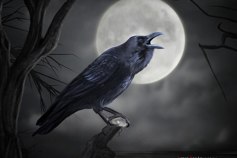 Call Of The Raven