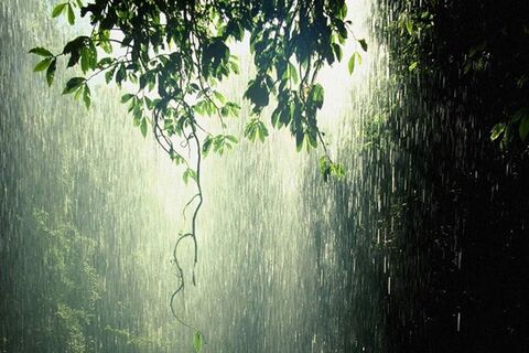 A Rendezvous with Rain on the Paris Road