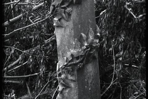 The Dead