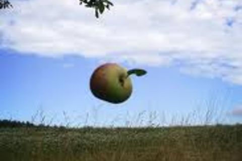   Left but not because of rotten