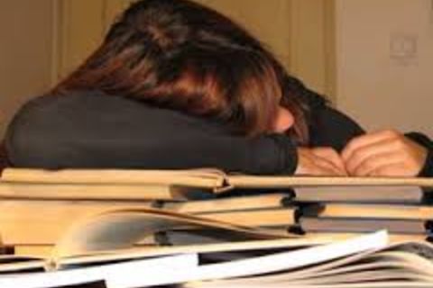 The School Day