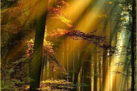 I wish i had a chance to say goodbye I wish i had a chance to say goodbye