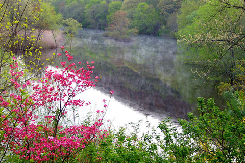 tranquility 