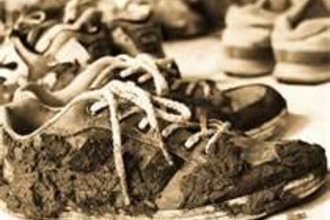 I'm just a gym shoe