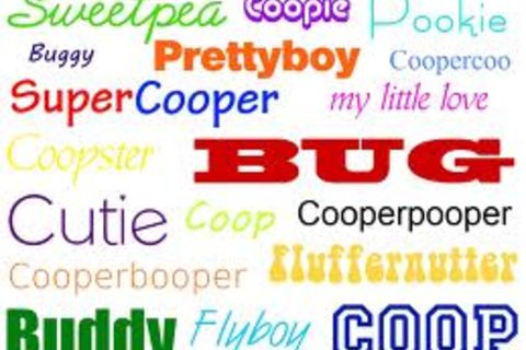 nick-names
