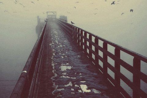 Lonely