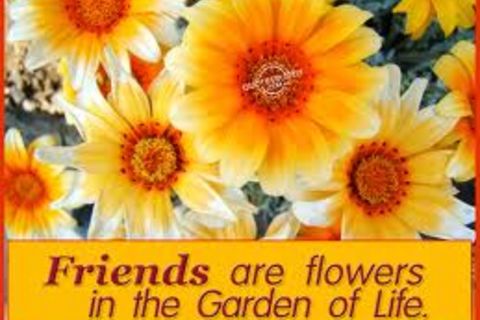 The garden of life...