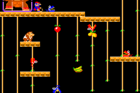Donkey Kong Junior