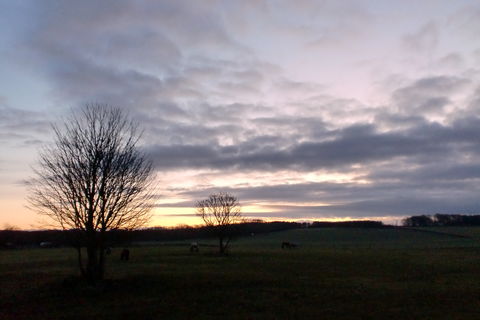Dawn