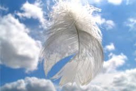 feather on her grave