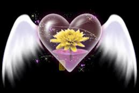 Magical Flower