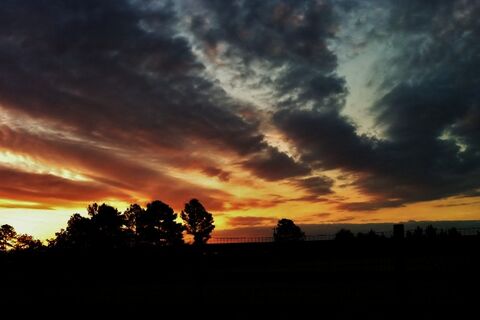 Dawn&#039;s Golden Light